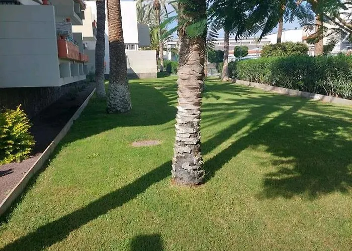 شقة Orita